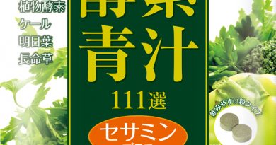 酵素青汁111選セサミンプラス